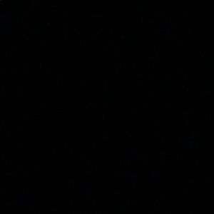 Meet your Posher, Paige